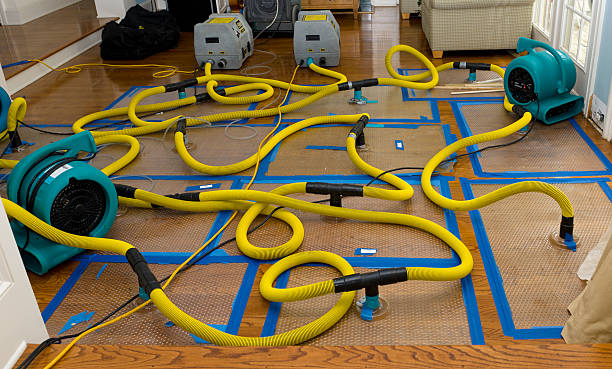 Professional Water Damage Repair technician working in Greenville, SC
